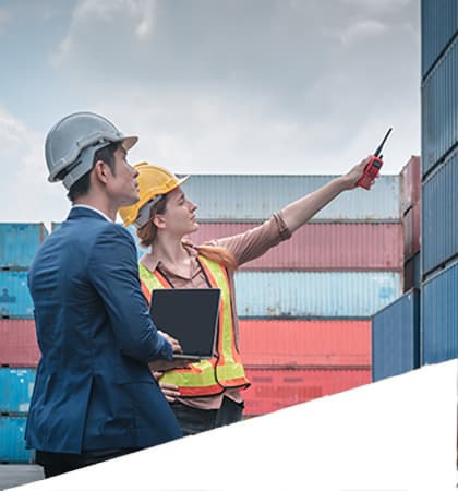 Ports & Customs Assistance